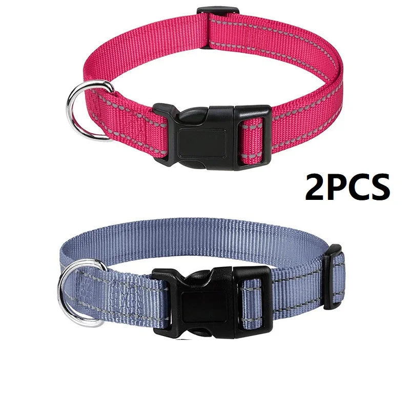 🐶 Collier pour Petit Chien & Chiot x2 –  Fantaisie Réglable