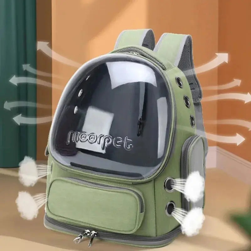 🐱 Sac à dos bulle pour chat & chien – Vue panoramique 180°, ventilation & imperméable