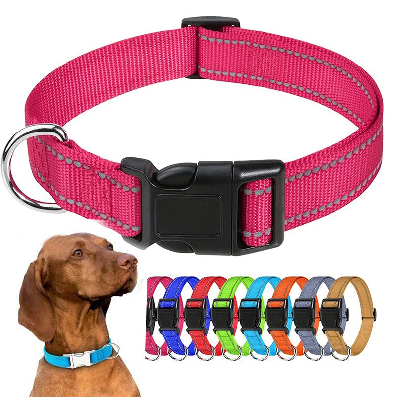 🐶 Collier pour Petit Chien & Chiot x2 –  Fantaisie Réglable