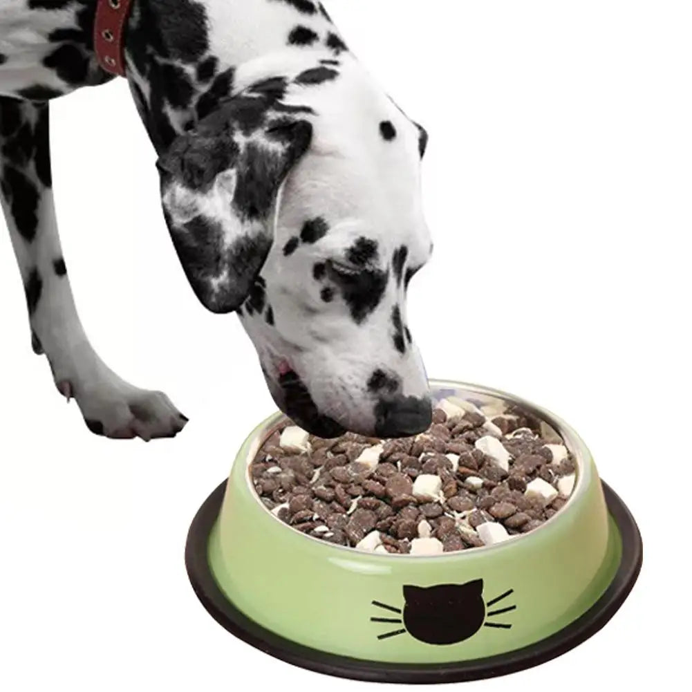 🐱🐶 Gamelle inox double paroi pour chien & chat – Antidérapante, isotherme & hygiénique