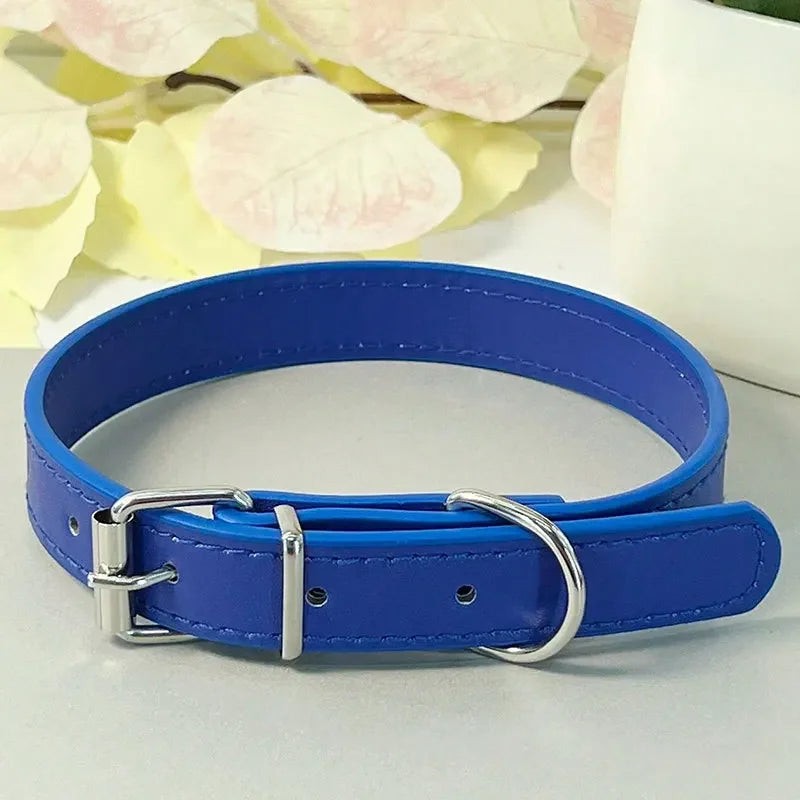 Collier plat multicolore pour chat – vue bleu lac
