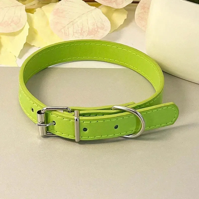 Collier plat multicolore pour chat – vue vert