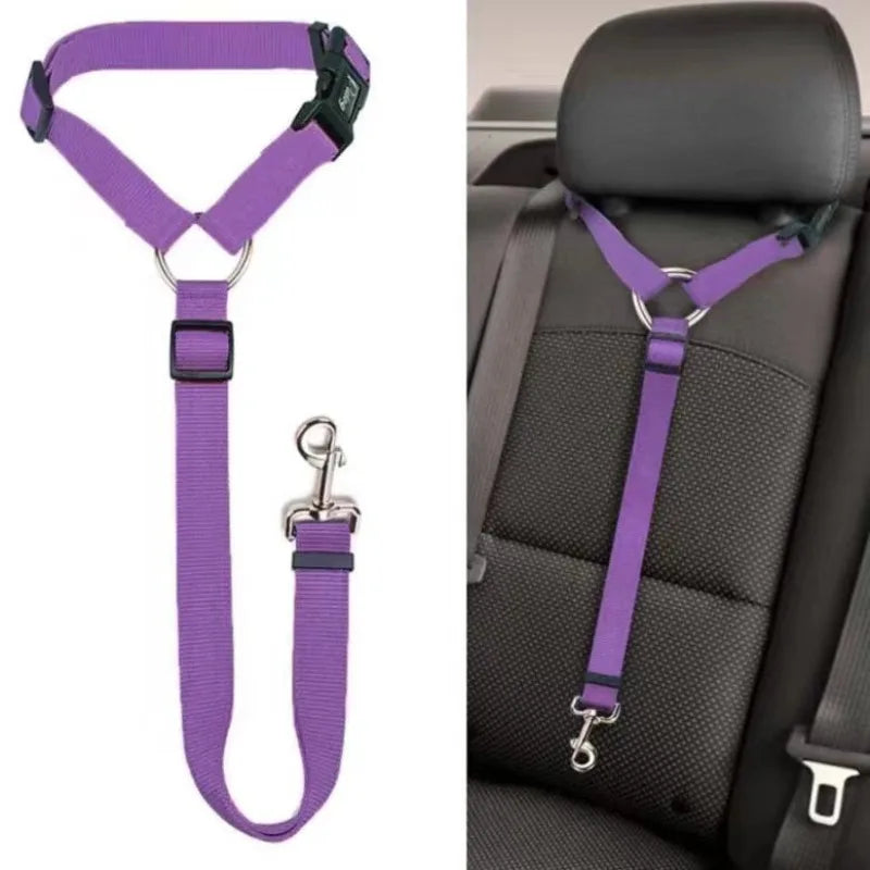 🐶 Ceinture sécurité voiture 2-en-1 pour chien – Laisse & harnais nylon réglable