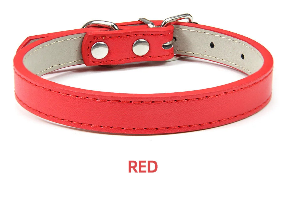 🐱🐶 Collier cuir souple ajustable pour chien & chat – Sécurité & confort toutes tailles