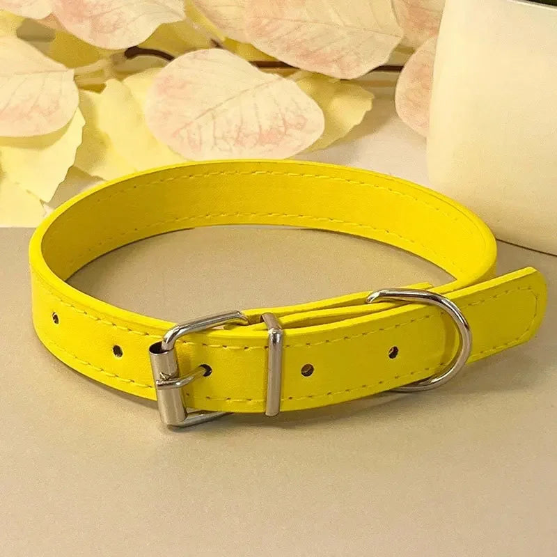 Collier plat multicolore pour chat – vue jaune