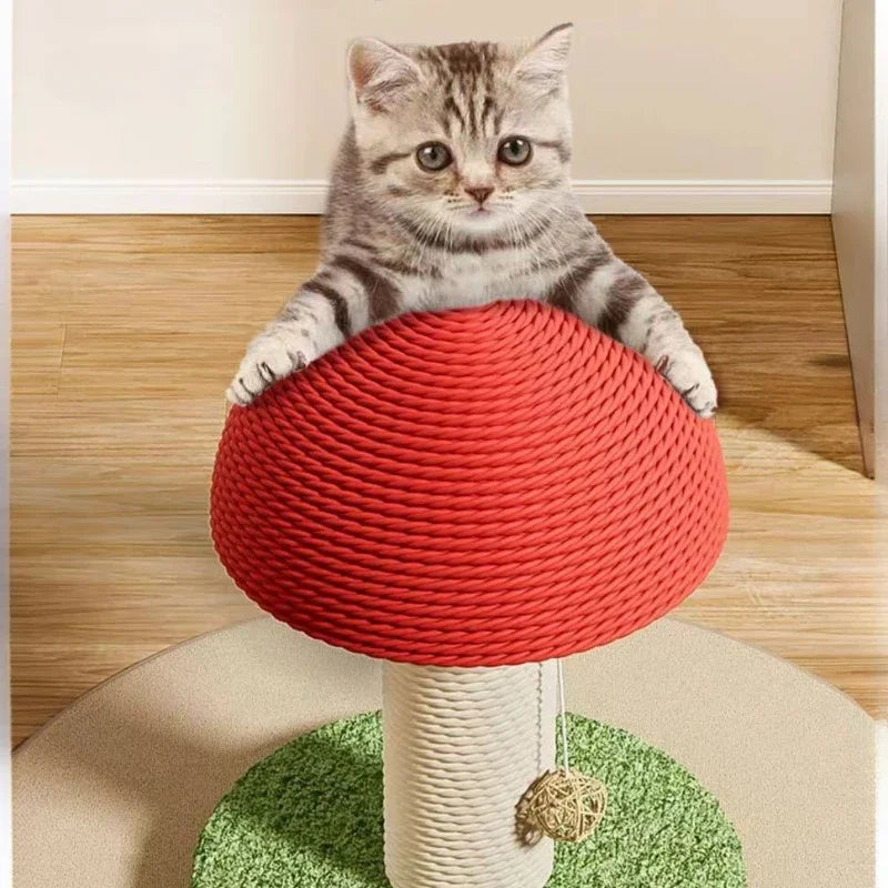 🐱 Griffoir Champignon en Sisal pour Chat – Jouet & Protège Meubles