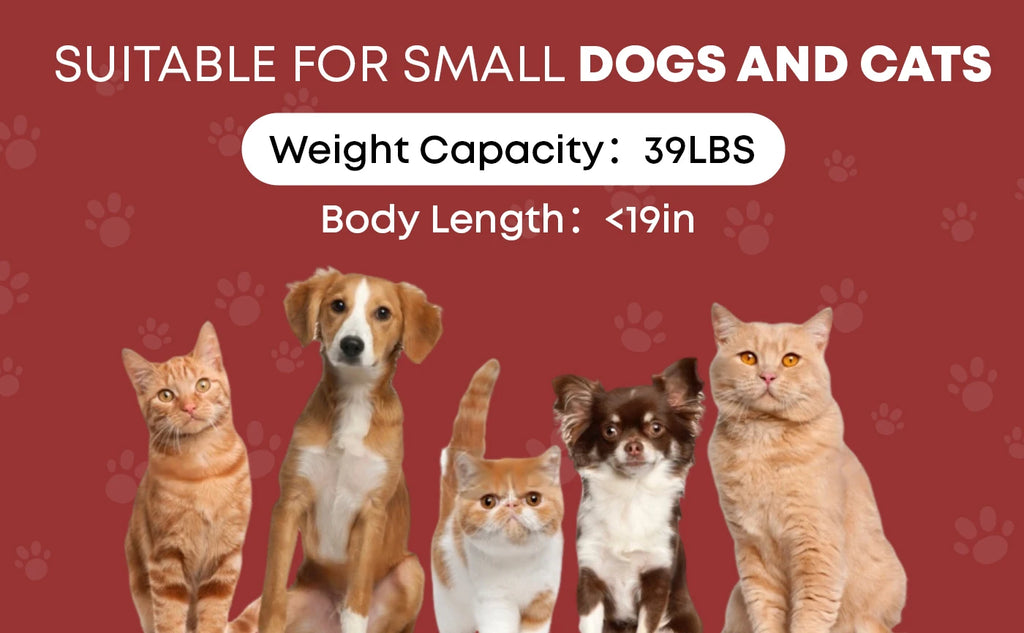 🐱🐶 Poussette 3 roues pliable pour chien et chat — auvent en maille respirante, transport voyage