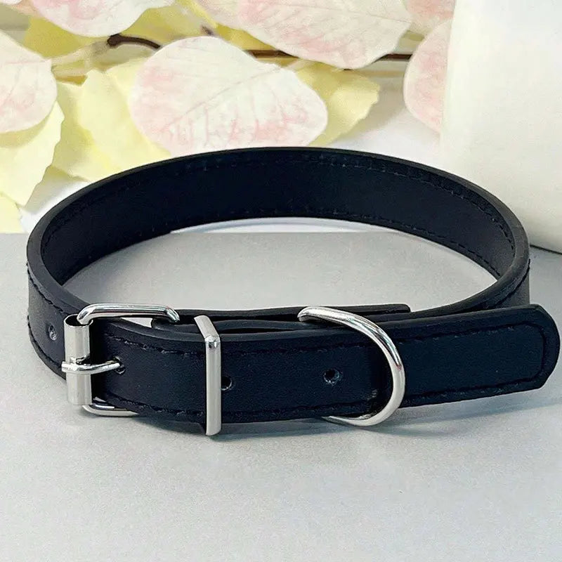 Collier plat multicolore pour chat – vue bleu nuit