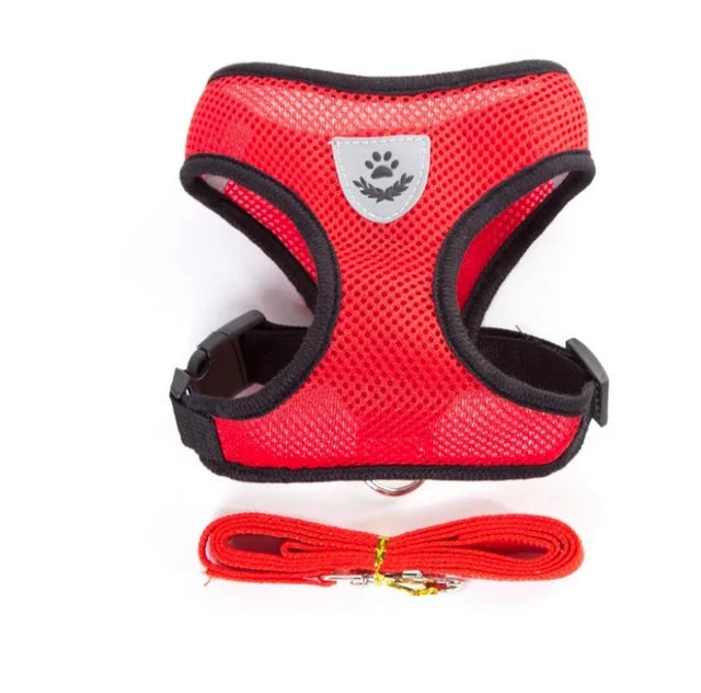 🐱🐶 Harnais réfléchissant pour chien & chat – Gilet respirant réglable avec laisse incluse