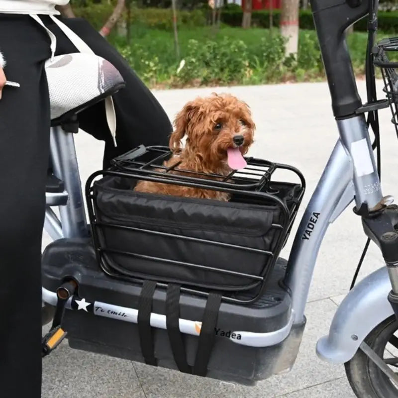 🐱🐶 Panier de vélo 2-en-1 pour chien et chat — transport et rangement jusqu'à 5,5 kg