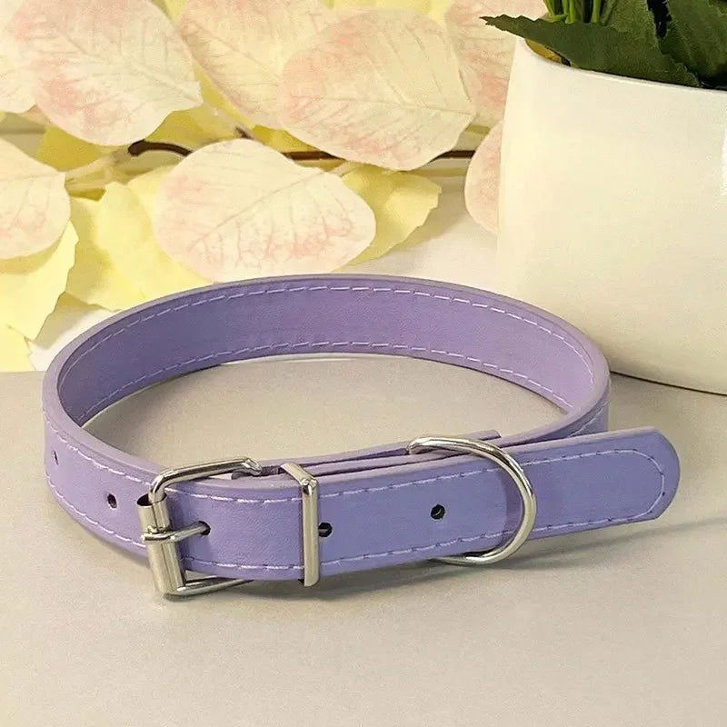 Collier plat multicolore pour chat – vue violet