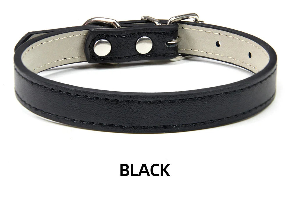 🐱🐶 Collier cuir souple ajustable pour chien & chat – Sécurité & confort toutes tailles