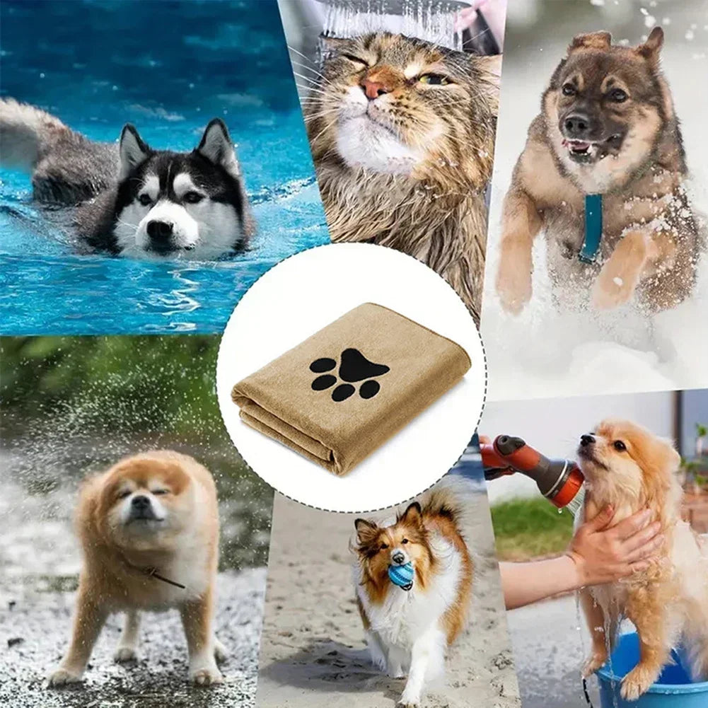 🐱🐶 Serviette microfibre séchage rapide pour chien & chat – Douce & absorbante