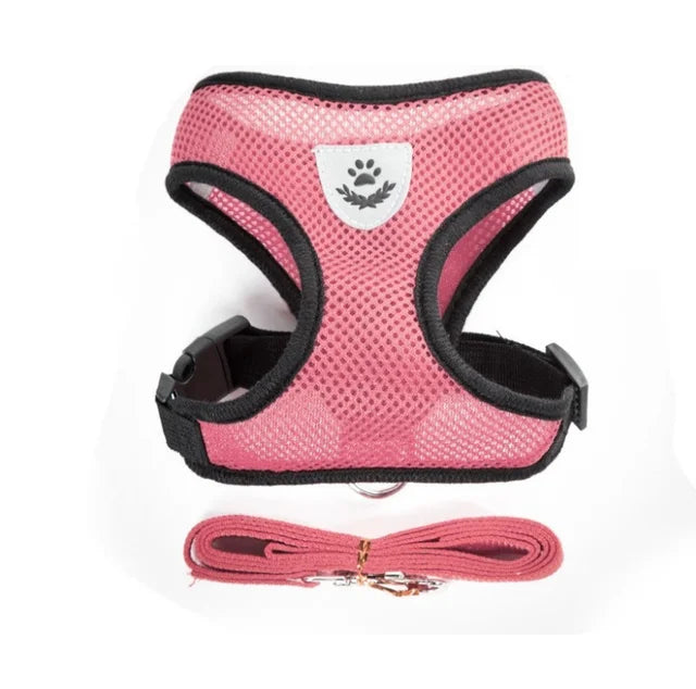 🐱🐶 Harnais réfléchissant pour chien & chat – Gilet respirant réglable avec laisse incluse