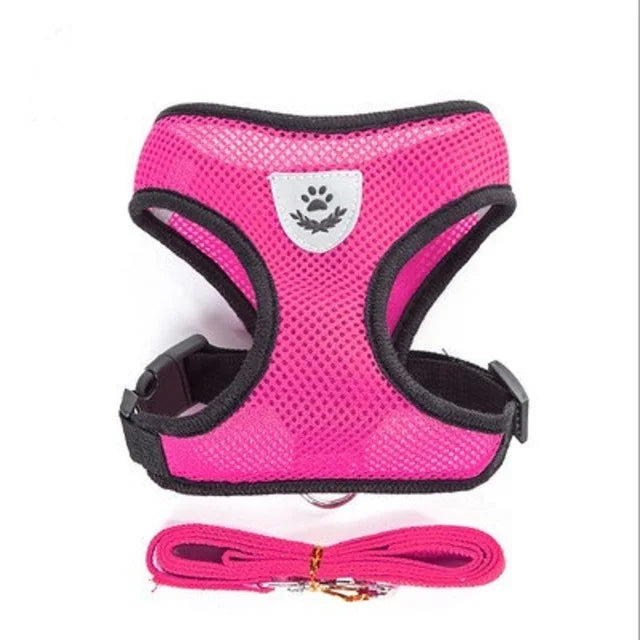 🐱🐶 Harnais réfléchissant pour chien & chat – Gilet respirant réglable avec laisse incluse