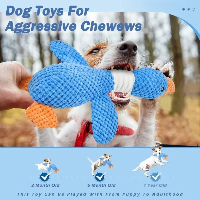 🐱🐶 Jouet peluche couinant pour chien & chat – Oie rigolote, nettoyage des dents & anti-stress
