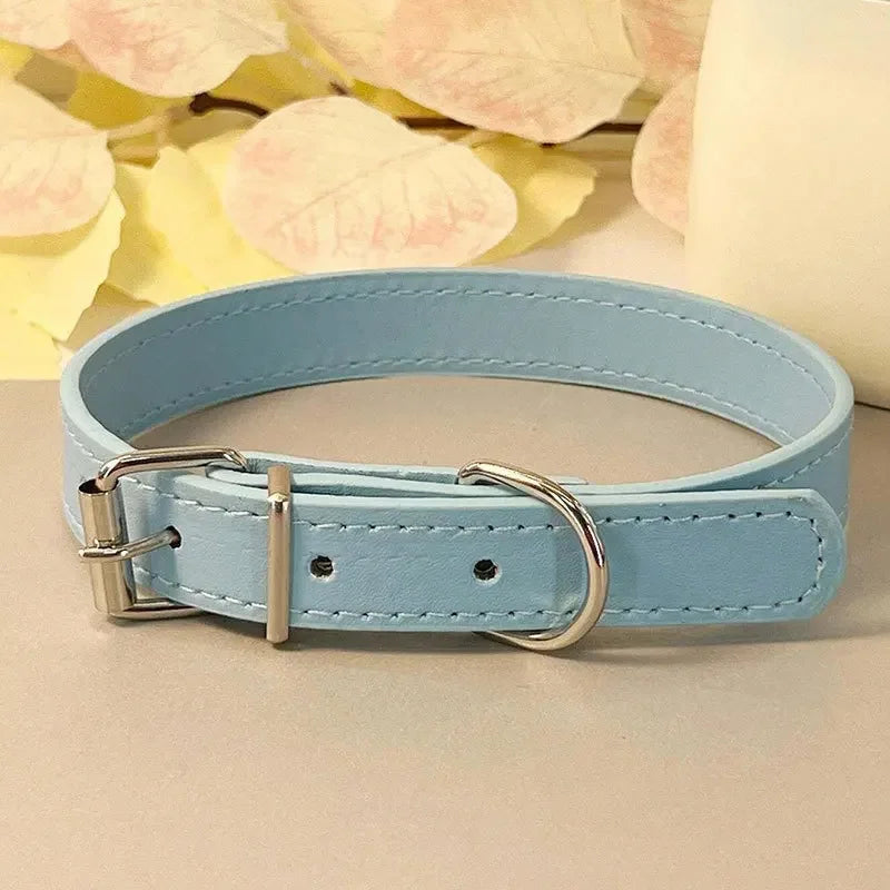 Collier plat multicolore pour chat – vue bleu ciel