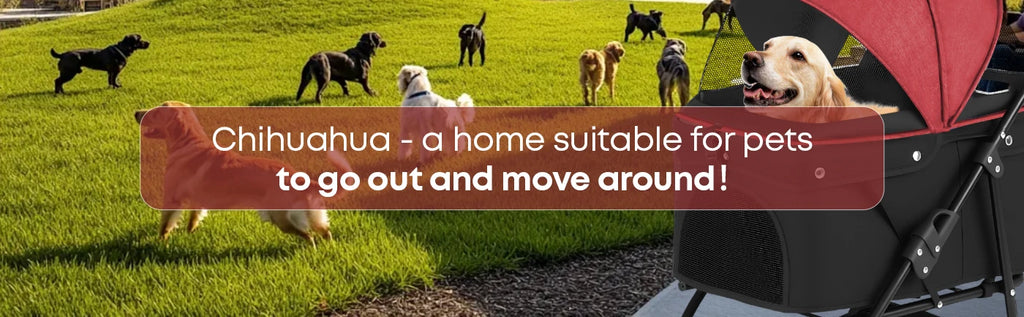 🐱🐶 Poussette 3 roues pliable pour chien et chat — auvent en maille respirante, transport voyage