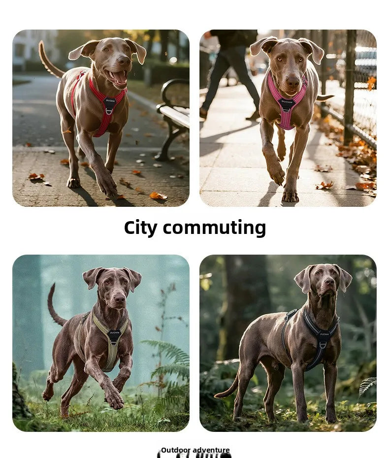 🐶 Harnais sécurité pour chien – Anti-traction, double poignée & réfléchissant
