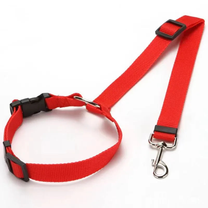 🐶 Ceinture sécurité voiture 2-en-1 pour chien – Laisse & harnais nylon réglable