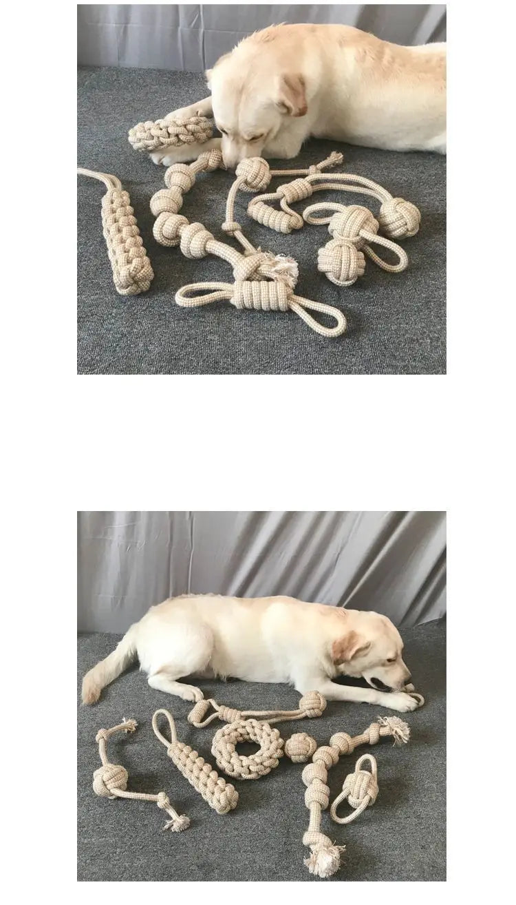 🐱🐶 Jouet Nœud en Corde pour Chien & Chat – Nettoyage des Dents, Résistant & Interactif