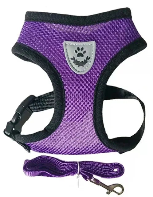 🐱🐶 Harnais réfléchissant pour chien & chat – Gilet respirant réglable avec laisse incluse