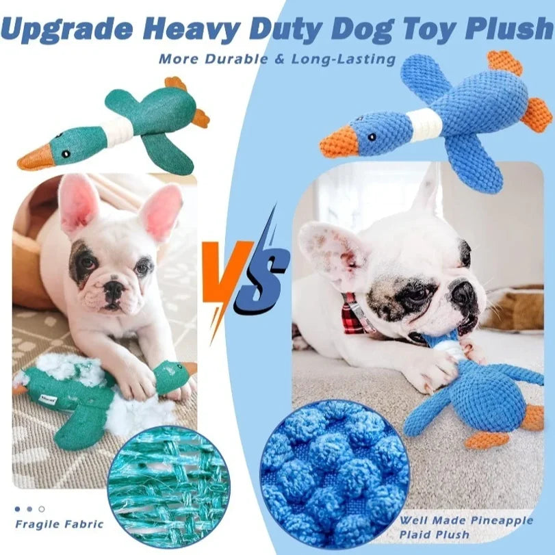 🐱🐶 Jouet peluche couinant pour chien & chat – Oie rigolote, nettoyage des dents & anti-stress