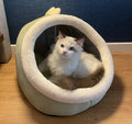 🐱 Coussin niche lavable pour chat & petit chien – Doux, chaud & confortable