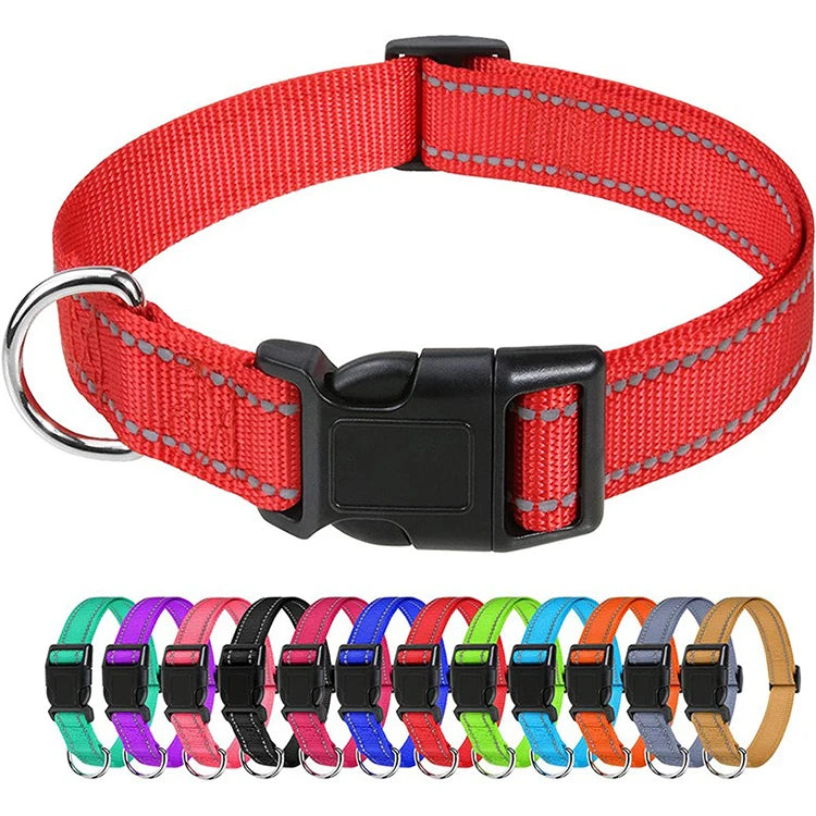 🐶 Collier pour Petit Chien & Chiot x2 –  Fantaisie Réglable