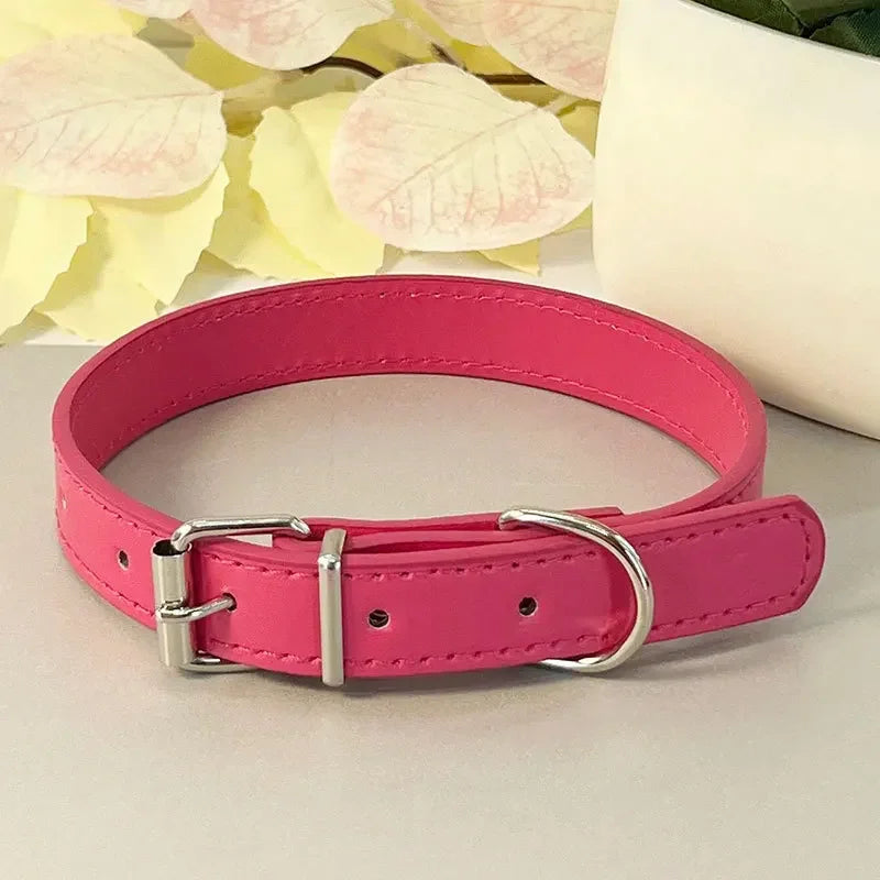 Collier plat multicolore pour chat – vue rose foncé