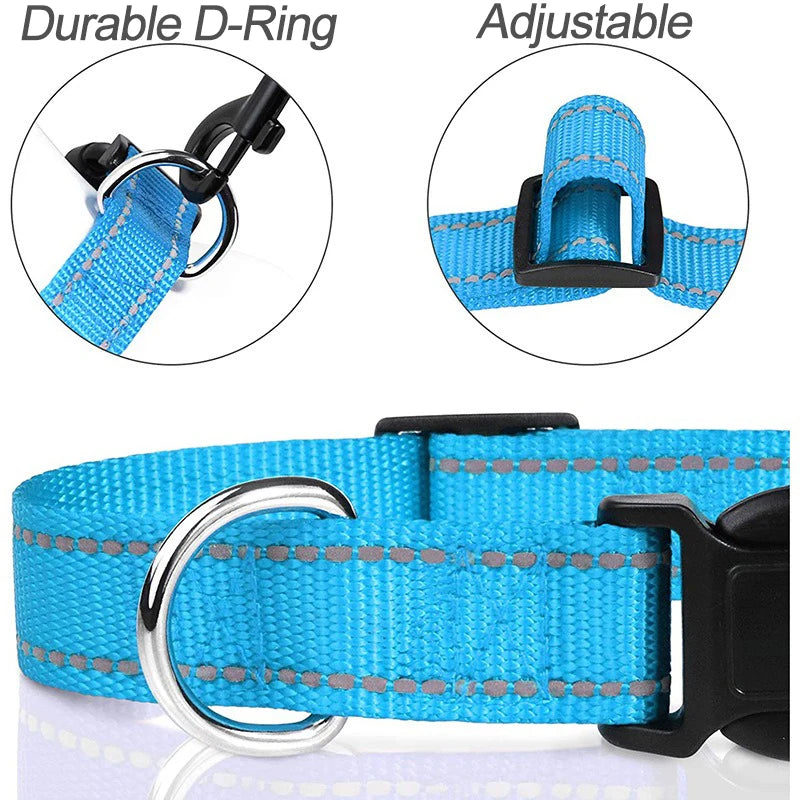 🐶 Collier pour Petit Chien & Chiot x2 –  Fantaisie Réglable