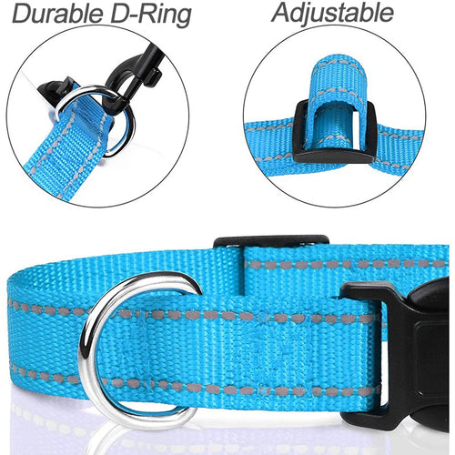 🐶 Collier pour Petit Chien & Chiot x2 –  Fantaisie Réglable