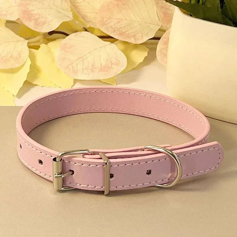 Collier plat multicolore pour chat – vue rose