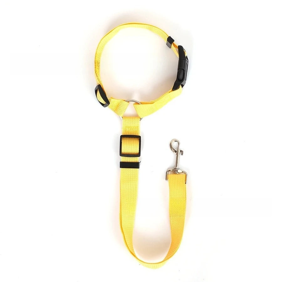🐶 Ceinture sécurité voiture 2-en-1 pour chien – Laisse & harnais nylon réglable