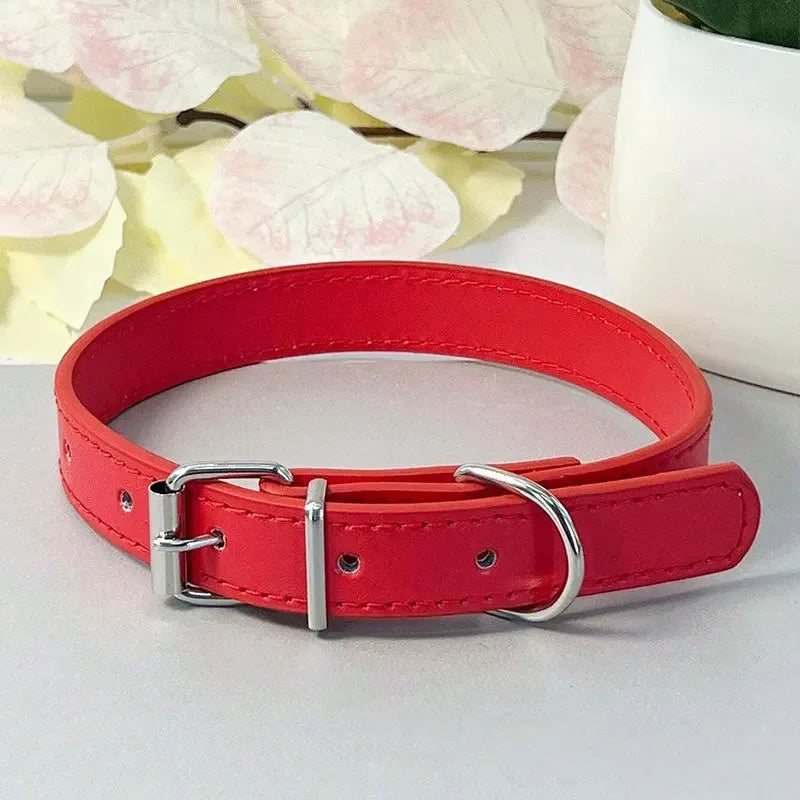 Collier plat multicolore pour chat – vue rouge