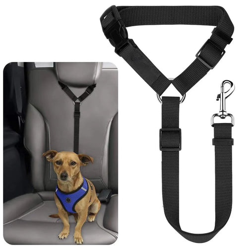 ceinture de sécurité multifonction en nylon de qualité s’utilise aussi bien comme laisse lors des balades que comme harnais de sécurité en voiture