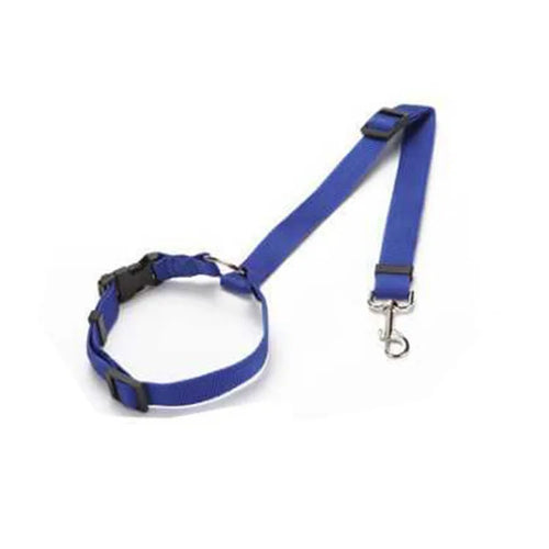 🐶 Ceinture sécurité voiture 2-en-1 pour chien – Laisse & harnais nylon réglable
