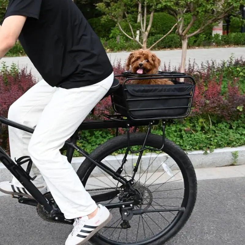 🐱🐶 Panier de vélo 2-en-1 pour chien et chat — transport et rangement jusqu'à 5,5 kg