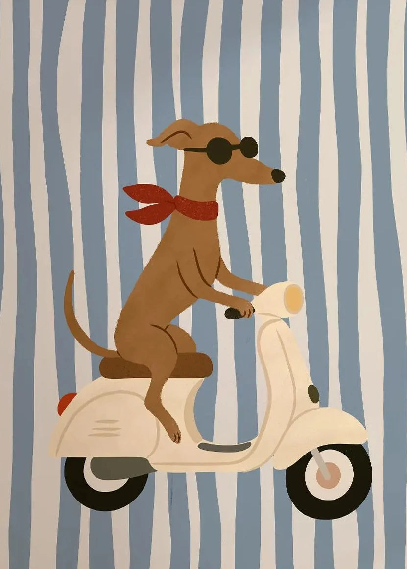 🏠 Kit Diamond painting – Motifs animaux rigolos (chien, canard, ballon)
