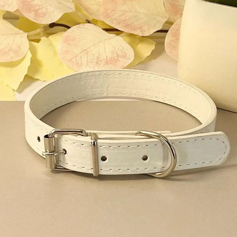 Collier plat multicolore pour chat – vue blanc