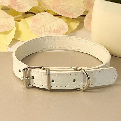 Collier plat multicolore pour chat – vue blanc